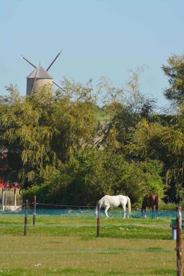 Gite Tombelaine Понторсон Экстерьер фото